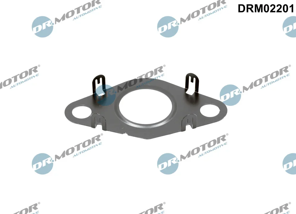 Těsnění, vedení AGR ventilu Dr.Motor Automotive DRM02201