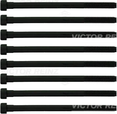 Sada sroubu pro hlavy valcu VICTOR REINZ 14-10276-02