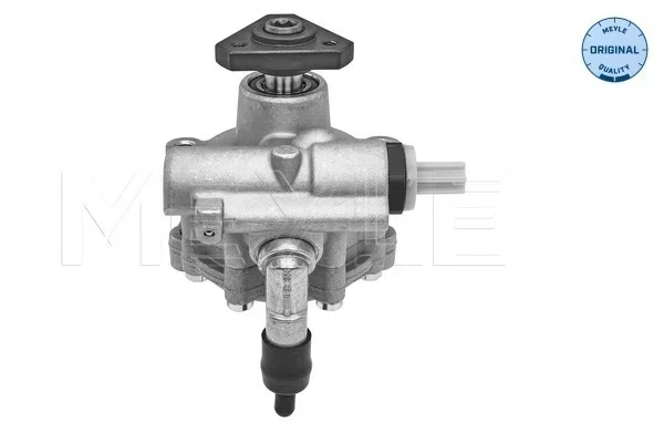 Hydraulické čerpadlo, řízení MEYLE 16-166310001 – OE 491101451R