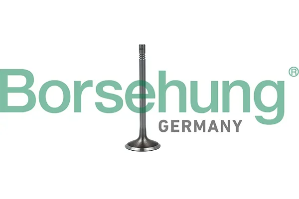 Sací ventil Borsehung B19023 Sací ventil Borsehung B19023