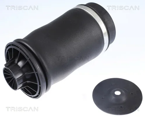 Vzduchová pružina, podvozek TRISCAN 872023204