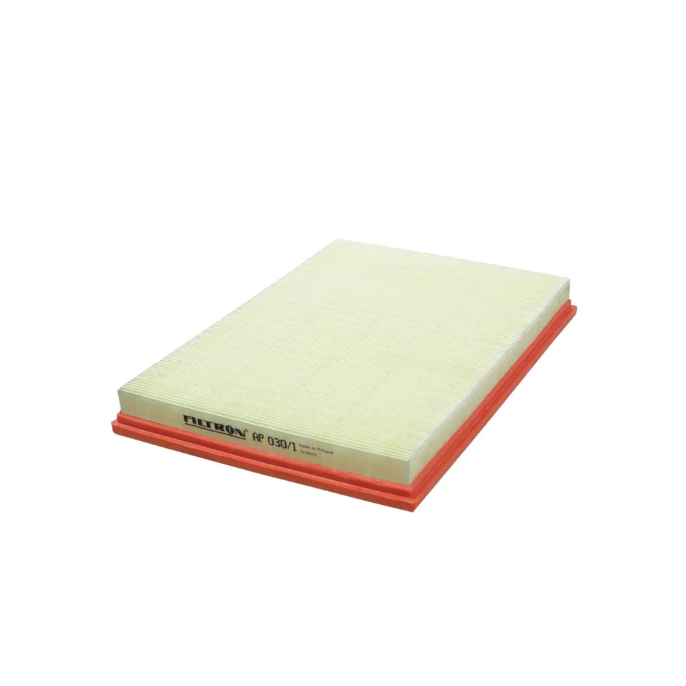 Vzduchový filtr FILTRON AP030/1 – OE 13717548888