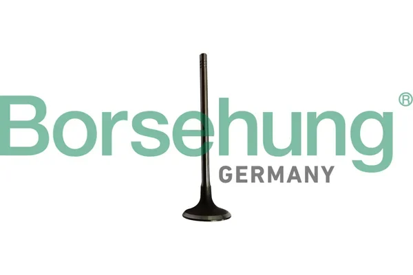Sací ventil Borsehung B10334 Sací ventil Borsehung B10334