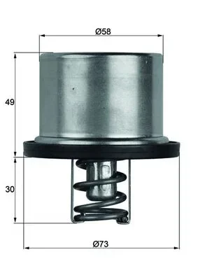 Termostat, chladivo MAHLE TX3779