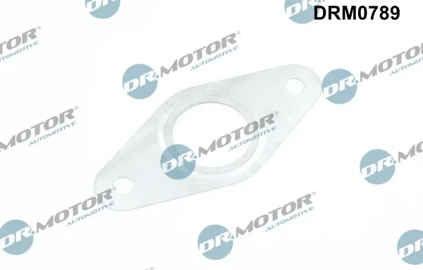 Sada těsnění, AGR systém Dr.Motor Automotive DRM0789 Sada těsnění, AGR systém Dr.Motor Automotive DRM0789