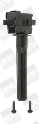 Zapalovací cívka BorgWarner ZS431