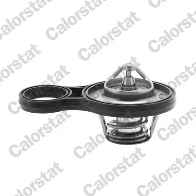 Termostat, chladivo CALORSTAT by Vernet TH6843.91J