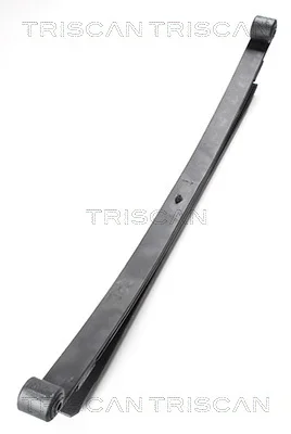 Paket pružin TRISCAN 876523021